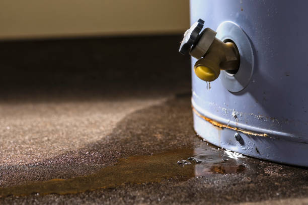 Trusted Potomac, MD Water damage restoration Experts