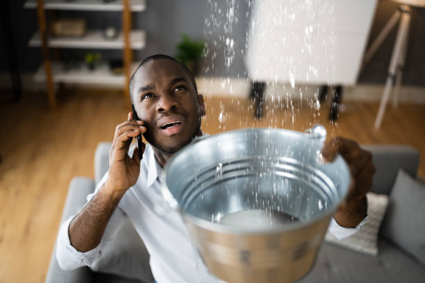 Best 24-hour water damage restoration  in Potomac, MD