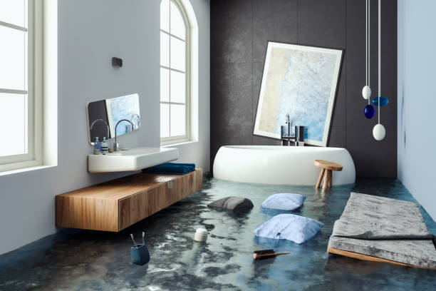 Best Carpet water damage restoration  in Potomac, MD