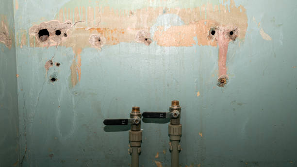 Best Local water damage restoration  in Potomac, MD