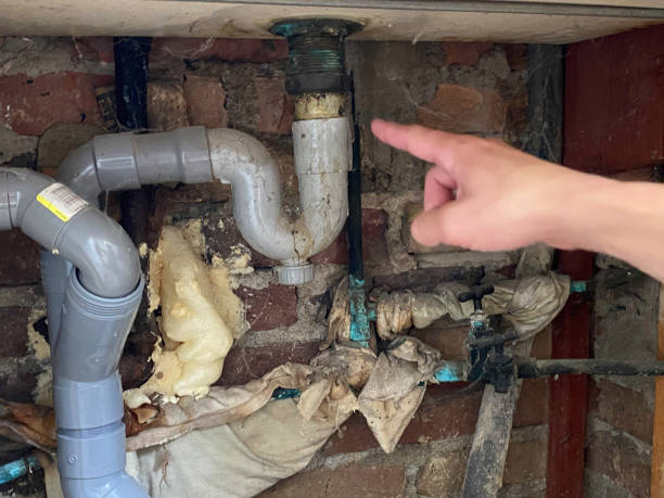 Best Ceiling water damage repair  in Potomac, MD